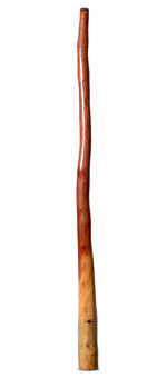 Tristan O'Meara Didgeridoo (TM473)